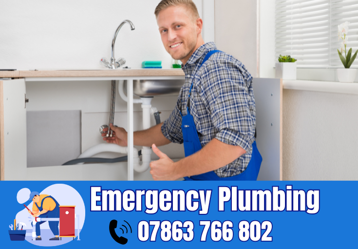  plumber Wright's Green