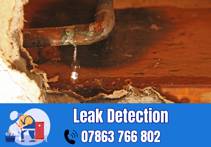 leak detection Appleton