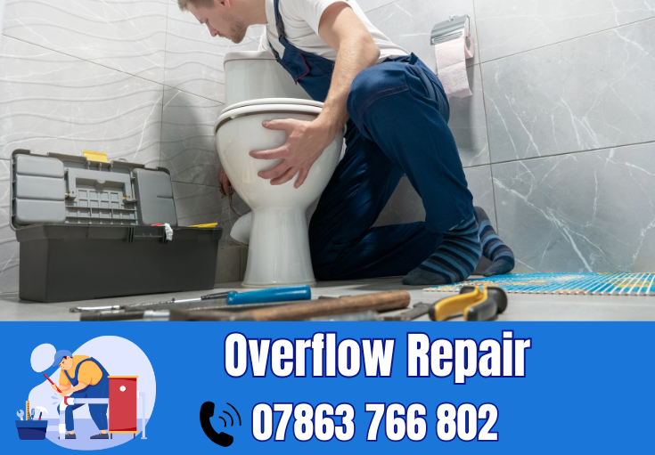 overflow repair Appleton