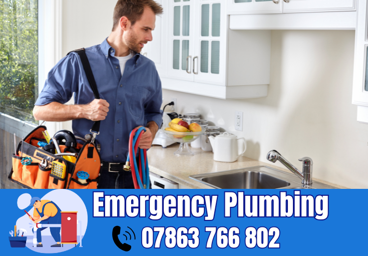  plumber Dudlow's Green