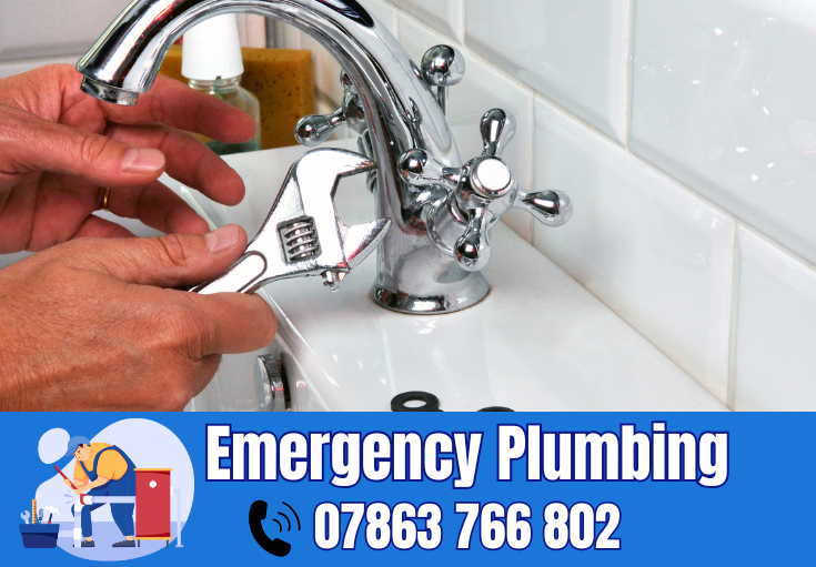  plumber Hillcliffe